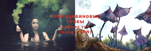 бутират Майский