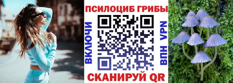 Галлюциногенные грибы прущие грибы  дарнет шоп  Туапсе 
