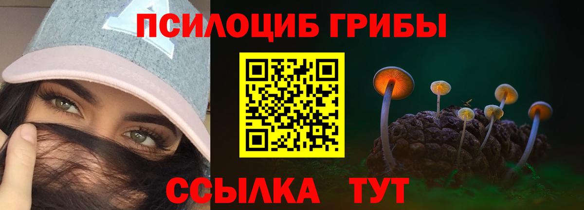 Галлюциногенные грибы Magic Shrooms  Вход с VPN  Туапсе  Галлюциногенные грибы GOLDEN TEACHER 