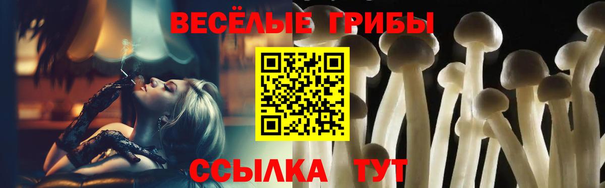 Галлюциногенные грибы Psilocybe Туапсе